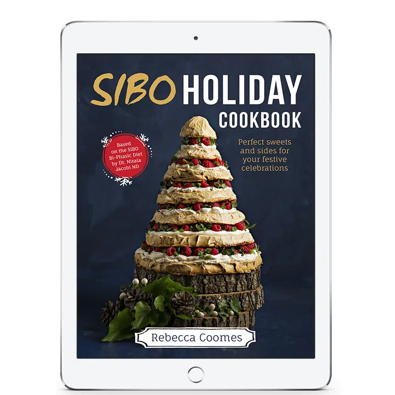 SIBO Holiday Cookbook Ipad Cover