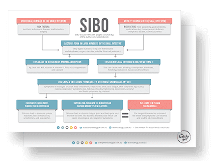 HANDOUT COVERS_INFOGRAPHIC