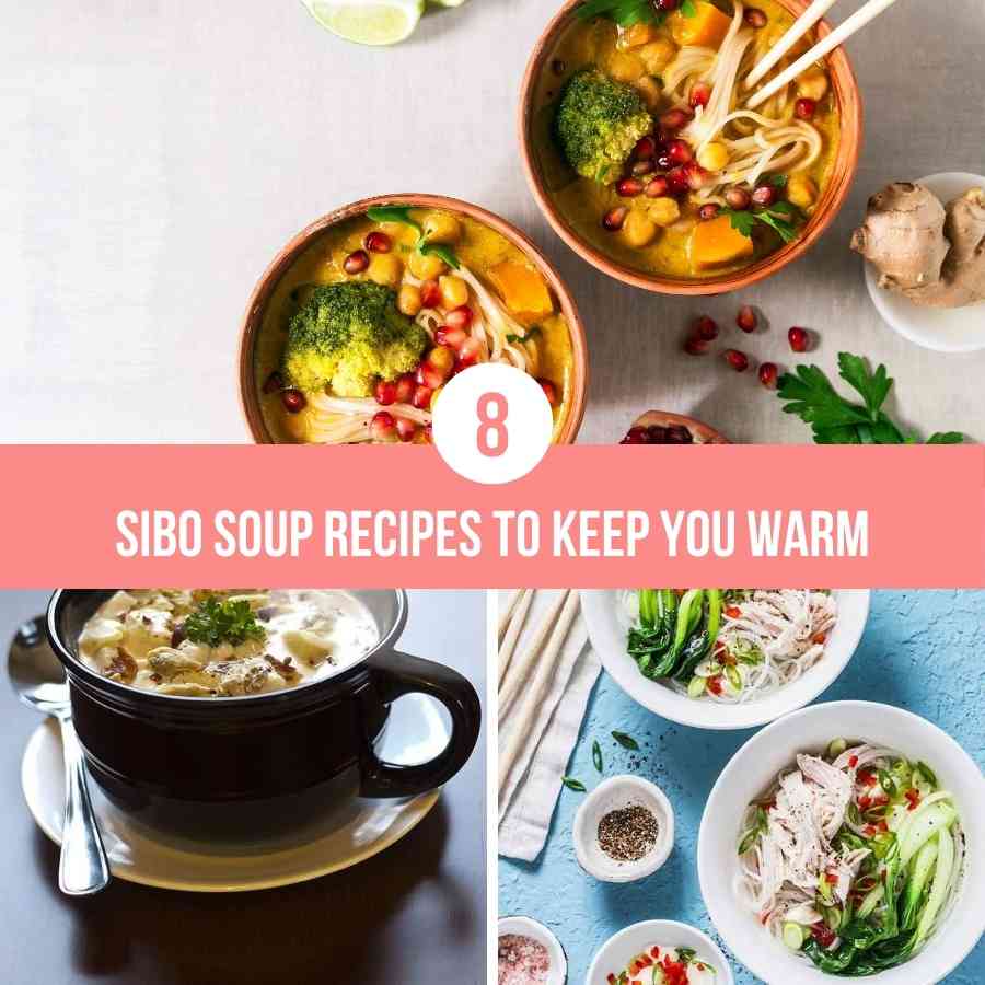 8 Sibo Soup Recipes Blog